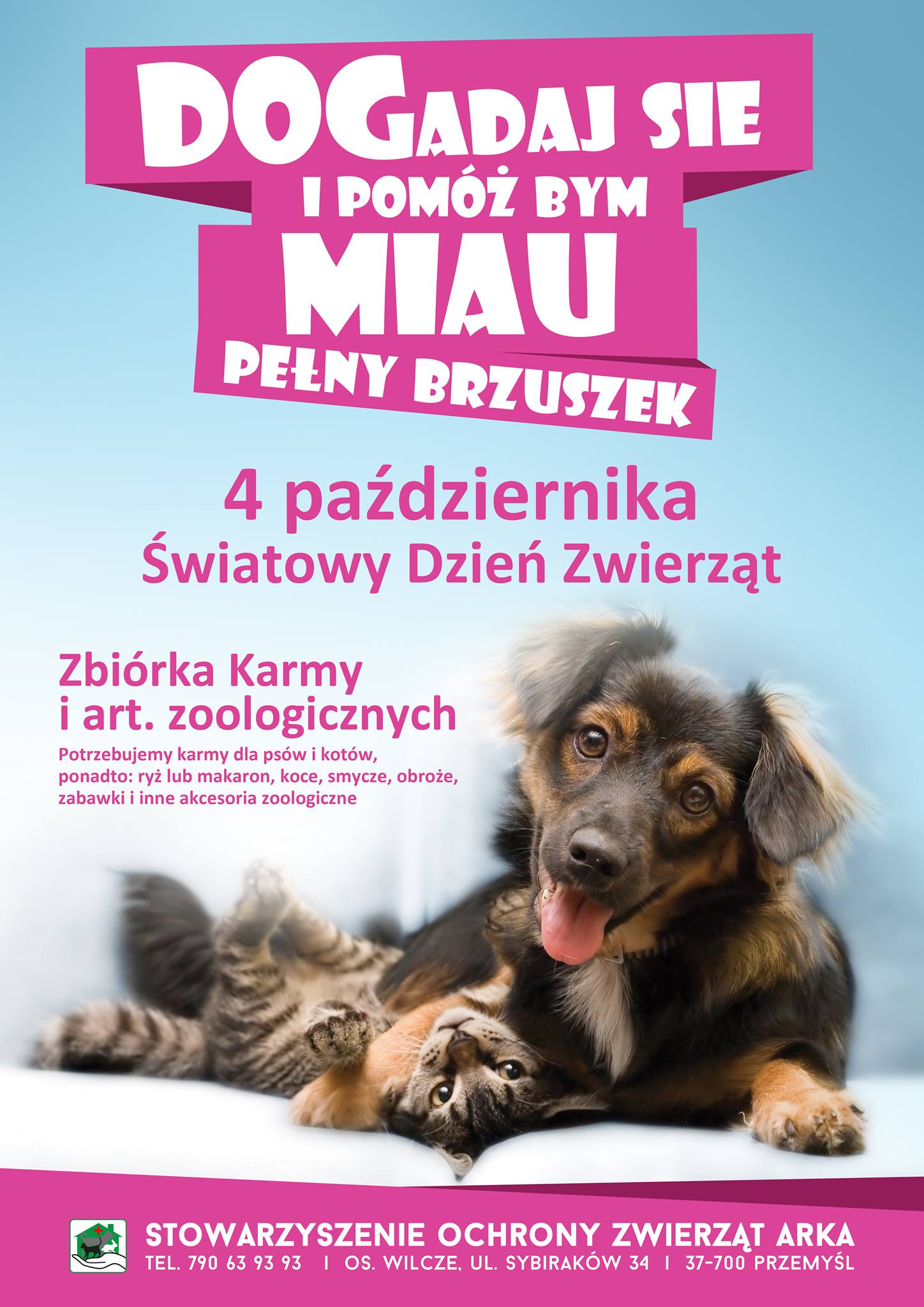 dogadaj sie
