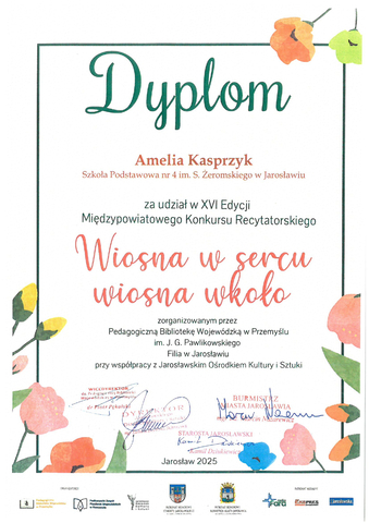 SP4J 25042812120 page 0001