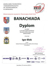 SP4J 21062312331 1